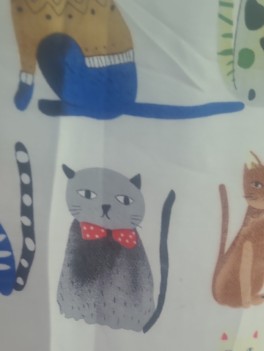 Playful Multi-Color Cat Print Scarf Wrap - Cream Base. 36 X 72 - Picture 8 of 10